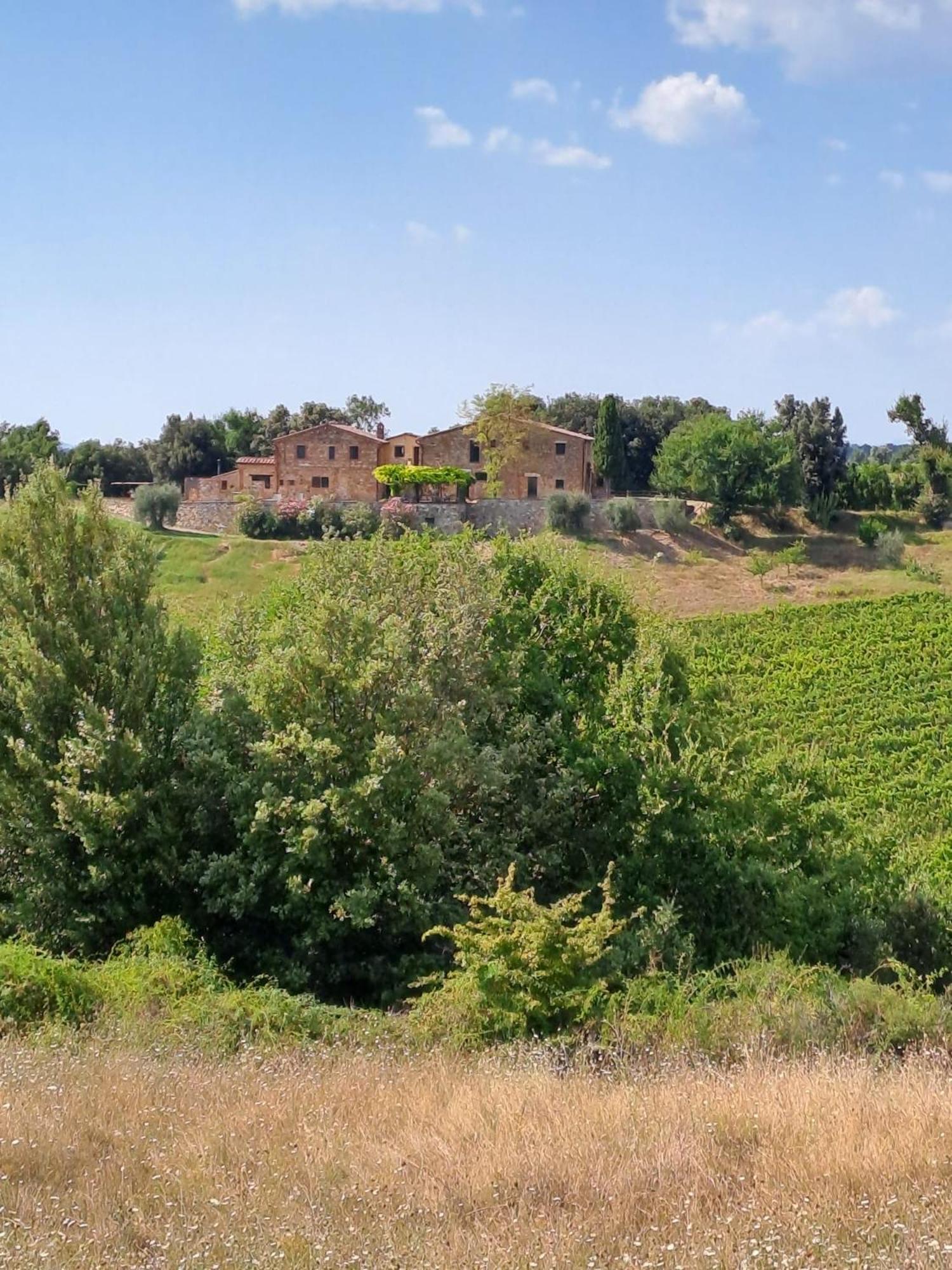 Podere Sole Trequanda Exterior photo
